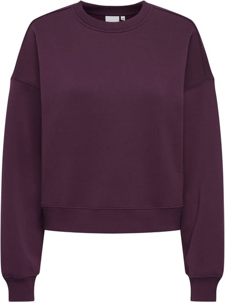 ONLY- ONLBEST L/S CREW NECK SWT - Dames - Sweatshirt