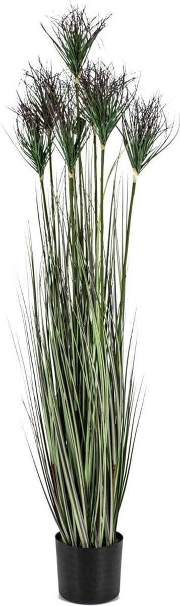 HomeBound by KY | Kunstplant gras | 150cm | gras kunstplant