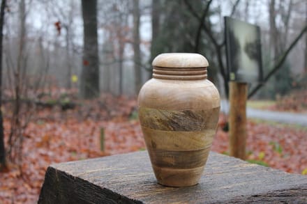 mangohouten urn de Slufter-4
