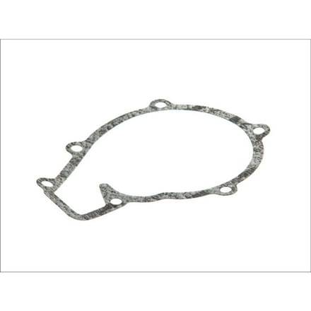 Pakking, waterpomp DT Spare Parts 3.16102