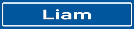 Fotofabriek Straatnaambord Liam | Straatnaambord met naam | Cadeau Liam