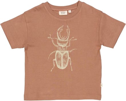 Wheat - T-shirt Beetle - Kever - Vintage rose - maat 116 - 6 jaar