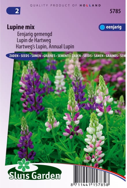 Sluis Garden - Lupine 1-jarig mix
