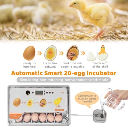 Digitale Broedmachine 20 Eieren Pluimvee met Automatische Eierdraaiing Temperatuurregeling LED-licht Temperatuur Vochtigheid Alarm Broedmachine voor Kip Eend