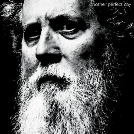 Bill Orcutt - Another Perfect Day (CD)