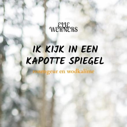 Ik Kijk In Een Kapotte Spiegel - Elle Werners