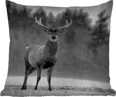 Tuinkussen - Dieren - Hert - Winter - Zwart - Wit - 40x40 cm - Weerbestendig