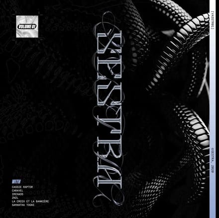 Various Artists - Vasstr01 - Vol. 1 (Cassie Raptor) (LP)