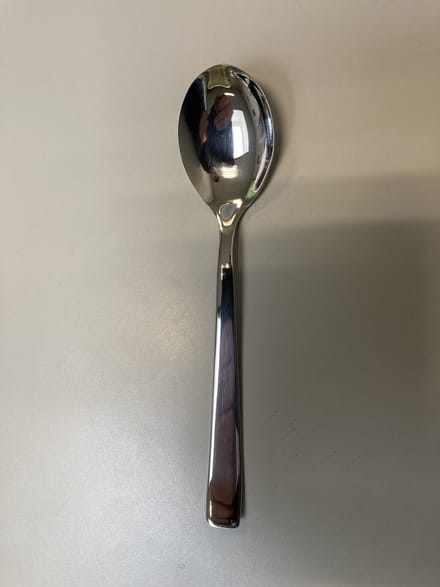 Pintinox dessert lepel 12stuk - Gamma