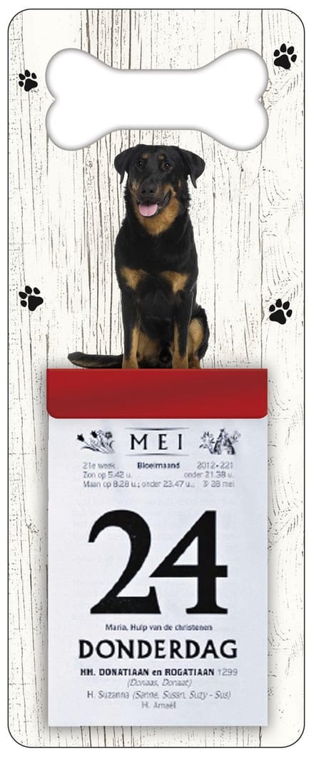 Scheurkalender 2027 Hond: Beauceron