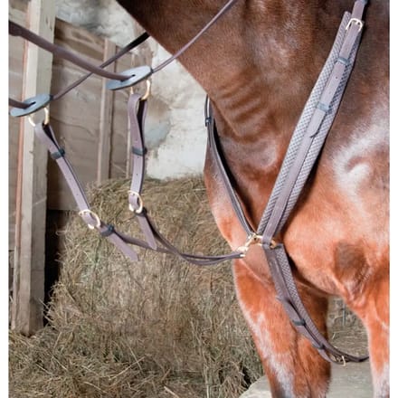 Jachthalsband voor paarden T de T