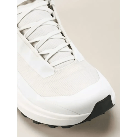 Arc'teryx Norvan LD 4 GTX Trailrunning Heren (Maat - 11, Kleur - Arctic Silk/Arctic Silk)