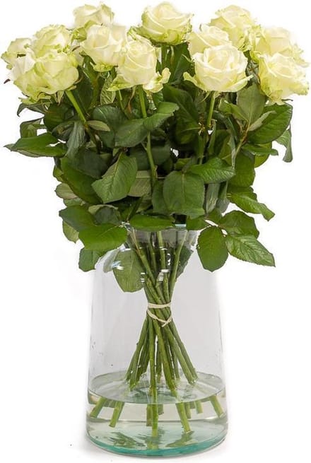 Avalanche Witte Rozen (Vanaf 10 stuks)
