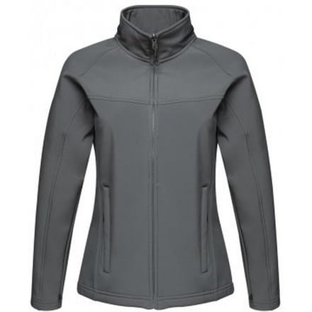 Regatta Dames/dames Uproar Soft Shell Jacket (Afdichting Grijs)