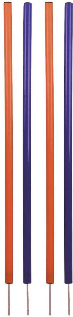 4x slalomsticks voor behendigheid