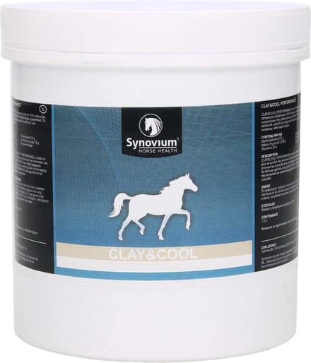 Synovium Clay & Cool
