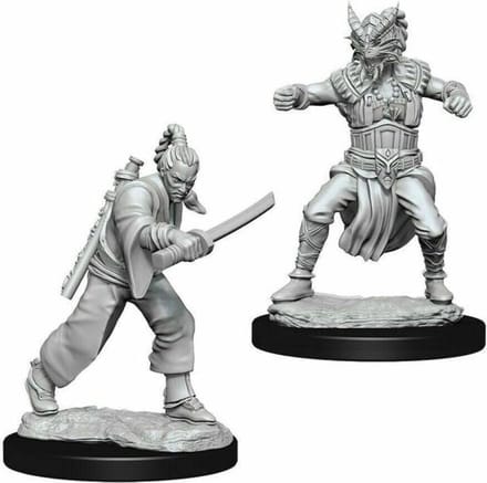 D&D Nolzur's Marvelous Miniatures - Male Human Monk