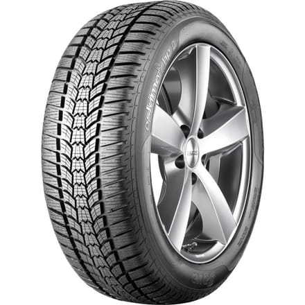 Sava Eskimo HP2 ( 205/55 R17 95V XL )