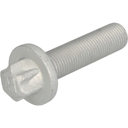 Schroef, remschijf PETERS 010.176-00