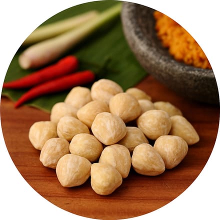De Kruidenbaron - Kemirinoten - strooibus 250 gram