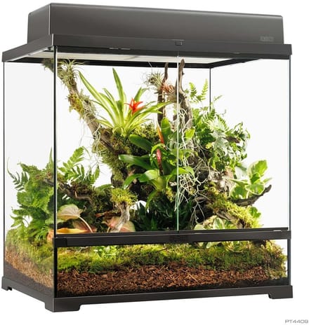 Exo Terra Pro Terrarium Zwart | Advanced Natural Terrarium 60Ã—45Ã—60 cm met 3-traps ventilatie
