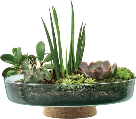 L.S.A. - Canopy Plantenschaal op Voet ø 28 cm - Transparant