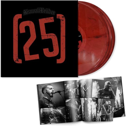 KrawallBrüder LP - 25 Jahre LIVE - voor Geen - standaard