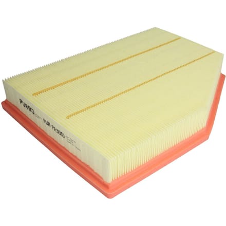 Luchtfilter PURRO PUR-PA3010