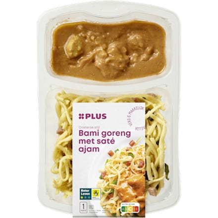 Bami Goreng met Saté Ajam
