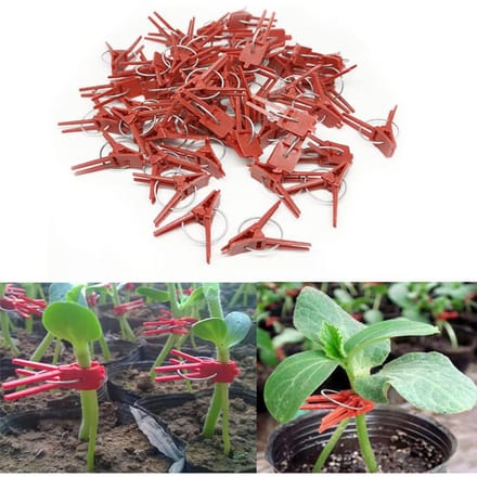 100 stuks planten entclips, plastic entclips, praktische tuinplantenclips brown