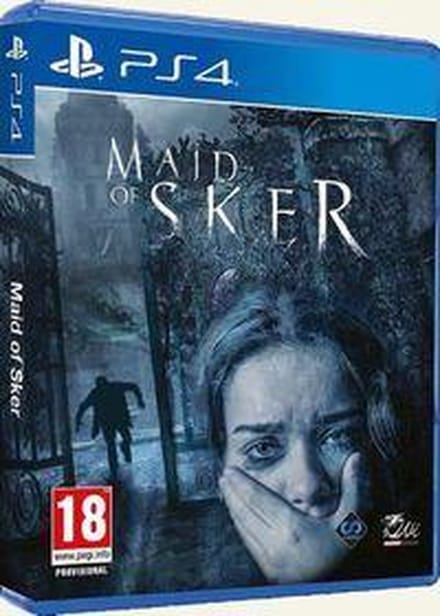 Perp Maid of Sker Basis Engels PlayStation 4