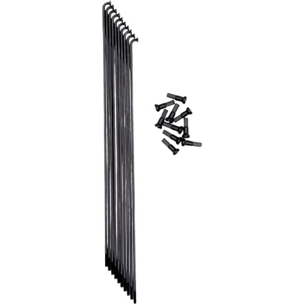 Stralen Pride Racing Hexagon Double Butted (x10)