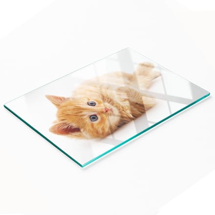 Gehard multifunctioneel decoratief bord van glas met rode kat, 80x52 cm