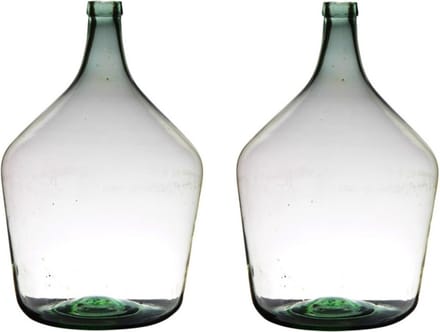 Flesvaas XL - 2x stuks - glas - B29 x H46 cm - Bloemen/takken vaas