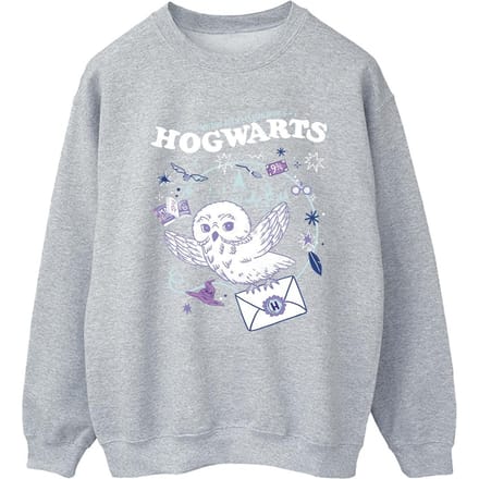 Harry Potter Dames/Dames Uil Brief Van Zweinstein Sweatshirt (Sportgrijs)