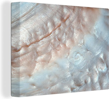 Canvas Schilderij Schelpen - Abstract - Natuur - 40x30 cm - Wanddecoratie