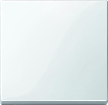 Schneider Electric Merten Systeem M Schakelelement/Centrale Plaat - MTN432119 - E34NX