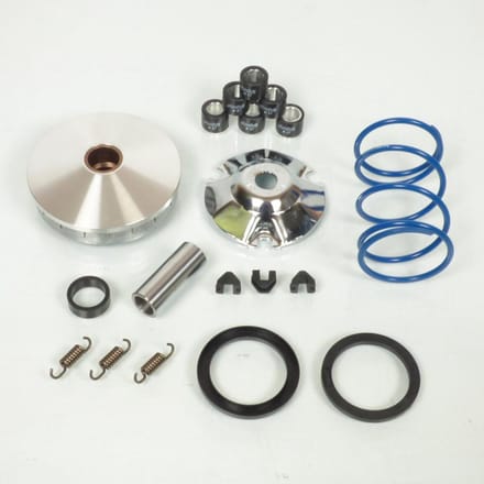 Variateur Polini pour Scooter Malaguti 50 Centro 4T Neuf