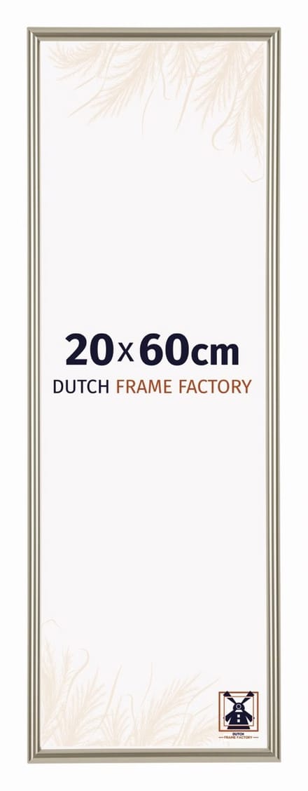 Fotolijst 20x60 cm - Kunststof - Champagne - Angers