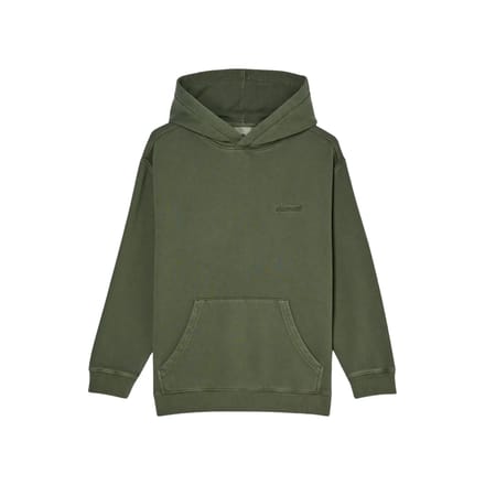Element Lowcase Pigment Hoodie Groen 14 Years Jongen