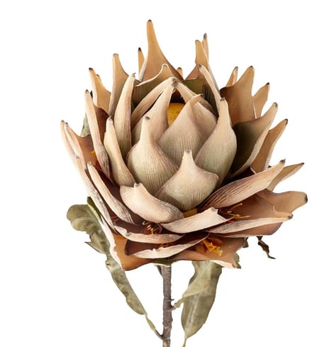 Bloomingville Kunstbloem Protea nature 76cm