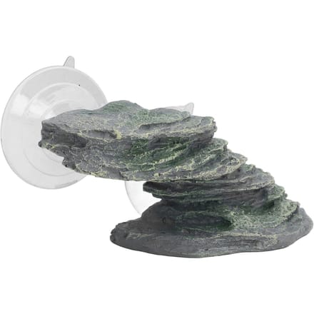 Schildpad Klimplatform Hars Levensecht Aquarium Rots Ornament Reptiel Zonneplaats Dock met Zuignappen gray