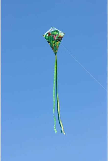Ecoline Eddy Vlieger 70 cm - Complete Set voor Beginners