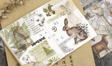 Sticker- & Paperset 15 vellen - Nature