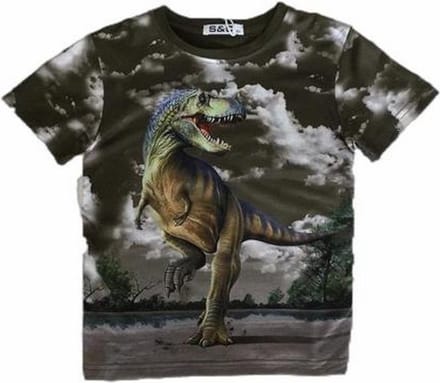 S&C Dinosaurus Shirt - T-Rex - Groen - Maat 146/152 (12 jaar)