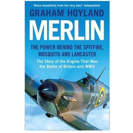 Merlin - Graham Hoyland