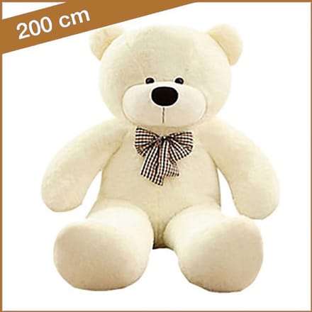 Grote knuffelbeer 200 cm. Geboorte knuffelbeer. Valentijnsknuffel.