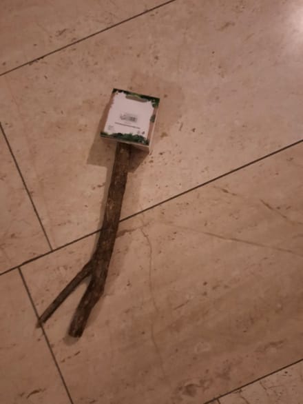 houten zitstok parkiet y/v vorm 30 cm lang