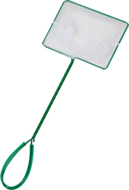 Flamingo - Vissen Schepnet Meza - Groen - L - 36 x 12 x 12 cm