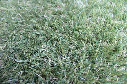 Niba® Kunstgras - 1x1m² - 30mm - Grastapijt - Groen - UV bestendig